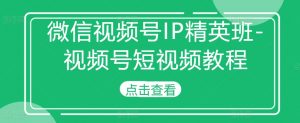 微信视频号IP精英班-视频号短视频教程-木石资源网