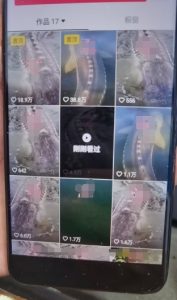 外面卖399的国学佛像原创暴力起号技术，快速起号，7天可达到一个万粉号-木石资源网