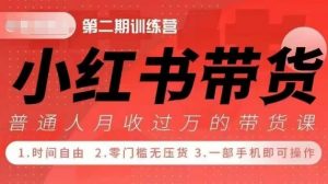 小Red书带货42天训练营 2.0版,宝妈+自由职+上班族+大学生,提高副业收入的大红利项目-木石资源网