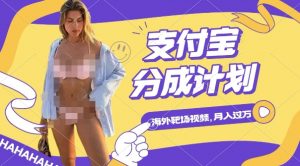 利用海外靶场射击视频,挣支付宝分成收益,轻松月入过W【揭秘】-木石资源网