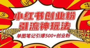 小红书创业粉引流神玩法,单图笔记引爆500+精准创业粉丝,私信狂潮接连不断-木石资源网
