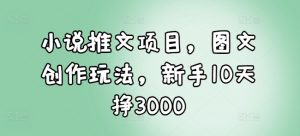 小说推文项目，图文创作玩法，新手10天挣3000-木石资源网