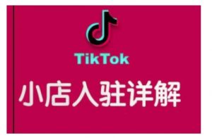 TikTok跨境小店运营全攻略,帮助你独立运营TK跨境小店的能力,实现销量增长-木石资源网