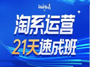 淘系运营21天速成班35期，年前最后一波和2025方向-木石资源网
