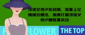 顶流女性IP实战班，流量上亿情绪引爆法，深度打磨顶流女性IP硬核基本功-木石资源网