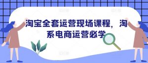 淘宝全套运营现场课程,淘系电商运营必学-木石资源网