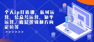 个人ip打造课,私域运营,公众号运营,知乎运营,底层逻辑和方向定位等-木石资源网