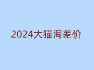 2024版大猫淘差价课程,新手也能学的无货源电商课程-木石资源网
