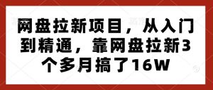 网盘拉新项目,从入门到精通,靠网盘拉新3个多月搞了16W-木石资源网