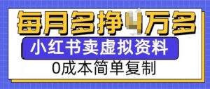 小红书虚拟资料项目,0成本简单复制,每个月多挣1W【揭秘】-木石资源网