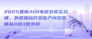 2025最新AI闪电做外贸实战课，外贸建站开发客户内容营销从0到3做外贸-木石资源网