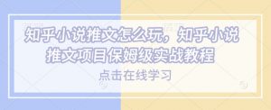 知乎小说推文怎么玩，知乎小说推文项目保姆级实战教程-木石资源网