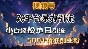 跨平台暴力引流,私域完美闭环,日引500+精准创业粉-木石资源网
