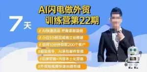 AI闪电做外贸训练营第22期：Al快速选品+小白1小时完成独立站搭建+10分钟获取200个客户等-木石资源网