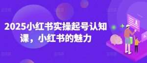 2025小红书实操起号认知课,小红书的魅力-木石资源网