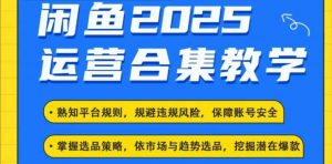2025闲鱼电商运营全集,2025最新咸鱼玩法-木石资源网