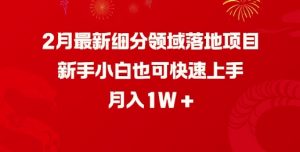 2月最新细分领域落地项目,新手小白也可快速上手,月入1W-木石资源网