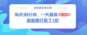 副业她只用了1招,每天30分钟,无脑二创,一天最高1.5k-木石资源网