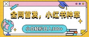 小红书种草,手机项目,日入3张,复制黏贴即可,可矩阵操作,动手不动脑【揭秘】-木石资源网