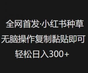 全网首发,小红书种草无脑操作,复制黏贴即可,轻松日入3张-木石资源网