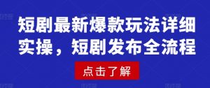 短剧最新爆款玩法详细实操，短剧发布全流程-木石资源网