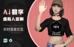 Ai数字人虚拟(智能体)实时语音交互特训营,自行定制超写实角色AI数字人交互技术-木石资源网