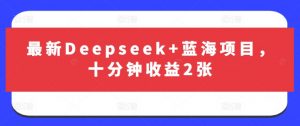 最新Deepseek+蓝海项目，十分钟收益2张-木石资源网