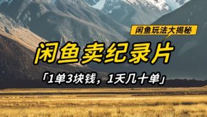 闲鱼卖纪录片1单3块钱，1天几十单，项目稳定有潜力-木石资源网