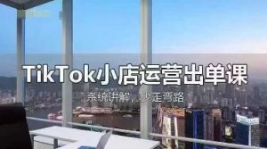 TikTok小店运营出单课，从开店选品、运营出单、发货回款，进行全流程讲解-木石资源网