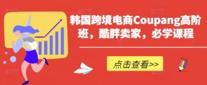 韩国跨境电商Coupang高阶班,酷胖卖家,必学课程-木石资源网