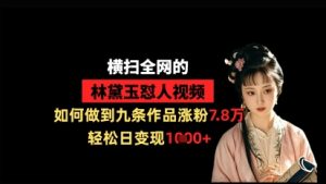 横扫全网的林黛玉怼人视频，如何做到九条作品涨粉7.8万，轻松日变现1k-木石资源网