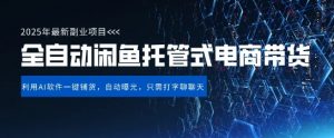 【闲鱼全自动电商带货】三年磨一剑,一朝露锋芒,长期稳定项目,单日稳定变现5张【揭秘】-木石资源网