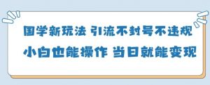 国学新玩法，引流不封号不违规小白也能操作，当日就能变现-木石资源网