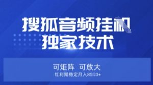 【搜狐音频挂G】独家技术，可矩阵可放大，红利期稳定月入8k【揭秘】-木石资源网