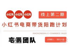 小红书电商带货课2期，月利润20个的小红书电商的有货源，无货源，虚拟产品，付费投流等整套玩法-木石资源网