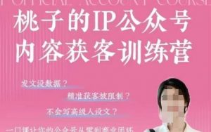桃子IP公众号内容获客训练营(第3期),一门让你公众号从0到商业闭环的课程-木石资源网