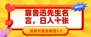 靠鲁迅先生名言,日入数张,视频号掘金赛道5.0-木石资源网