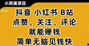 小而美的项目,抖音小红书B站视频点赞、关注、评论就能挣钱,简单无脑立见收益,妥妥的零撸项目【揭秘】-木石资源网