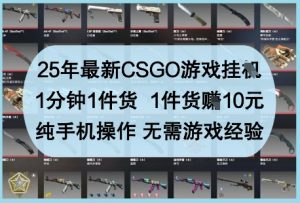 25年最新CSGO游戏挂G，1分钟1件货，1件货挣10元，纯手机操作，无需游戏经验【揭秘】-木石资源网