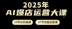 2025年AI爆店运营大课,13节AI实操课+37节流量运营课-木石资源网
