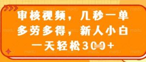 视频审核员，几秒一单，不限时间，不限地点，多做多得，新人小白一天轻松几张+【揭秘】-木石资源网