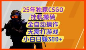 25年独家CSGO挂G搬砖，全自动操作，无需打游戏，小白日入3张+【揭秘】-木石资源网