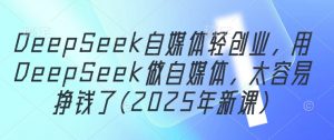 DeepSeek自媒体轻创业，用DeepSeek做自媒体，太容易挣钱了(2025年新课)-木石资源网