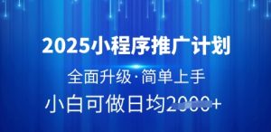2025小程序推广计划,全面升级,简单上手,日均多张【揭秘】-木石资源网
