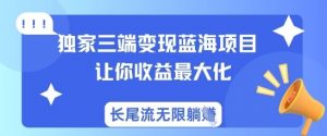 独家三端变现蓝海项目,让你收益最大化,长尾流无限躺挣-木石资源网
