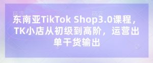 东南亚TikTok Shop3.0课程,TK小店从初级到高阶,运营出单干货输出-木石资源网