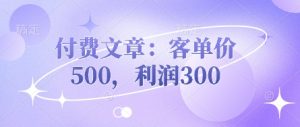 付费文章:客单价500,利润300-木石资源网