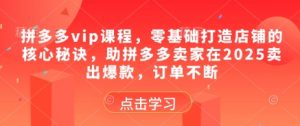 拼多多vip课程,零基础打造店铺的核心秘诀,助拼多多卖家在2025卖出爆款,订单不断-木石资源网