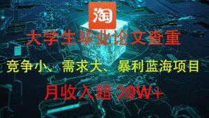 大学生毕业论文查重，暴利蓝海项目，月收入过1W+-木石资源网
