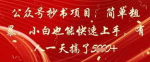 公众号抄书项目,简单粗暴,小白也能快速上手,有人一天搞了1k+-木石资源网